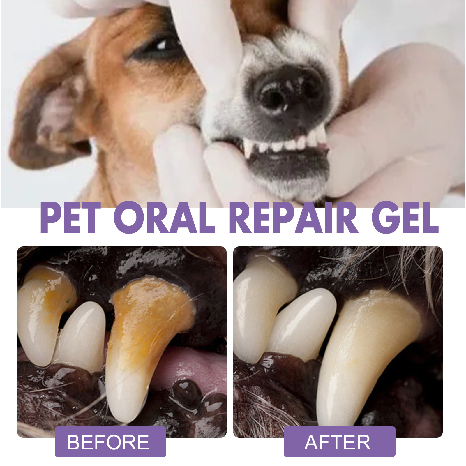 الحيوانات الأليفة الفم إصلاح ه - مراجعة Teeth Whitening Gel وسعره